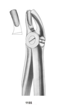  Fig. 18B upper molars 